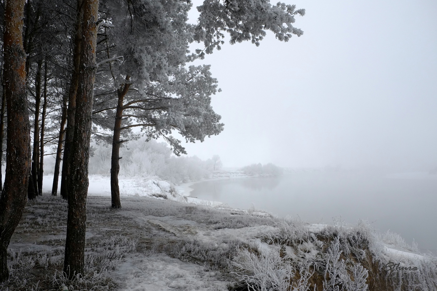На берегу Оки.