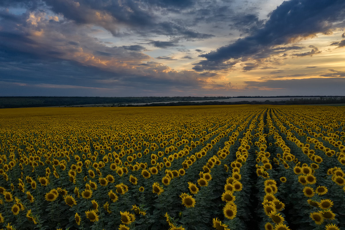 В конце июля