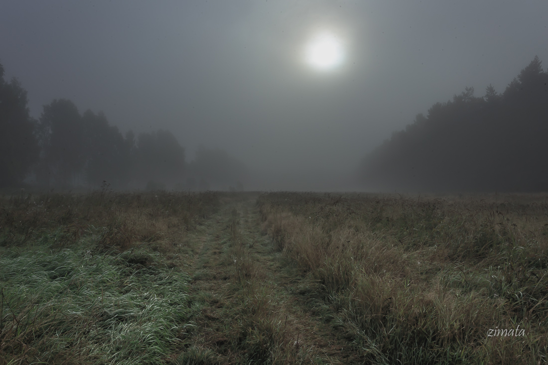 еще раз про туман