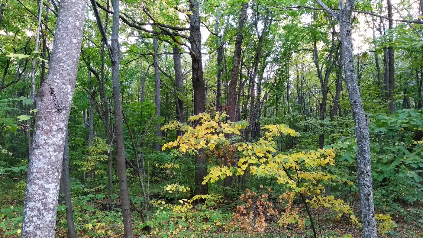 там где лето встречается с осенью