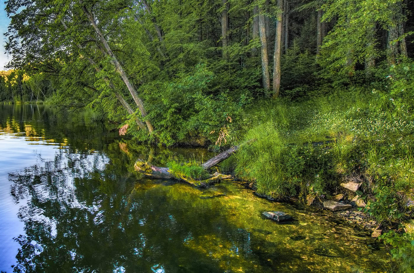 Зеленый уголок