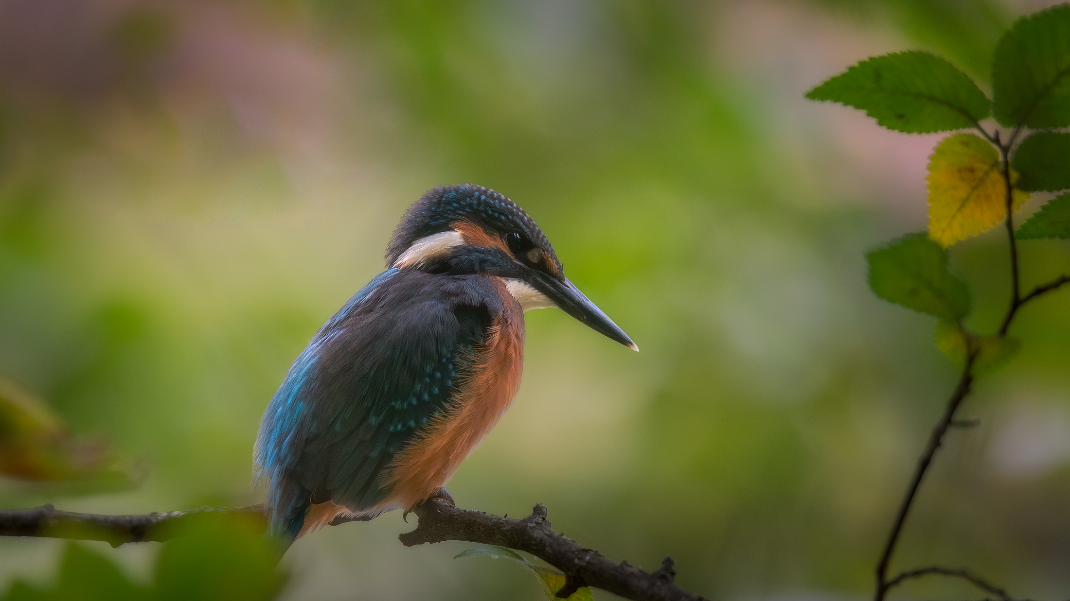 В укромном месте