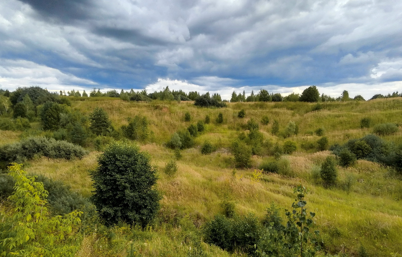 пригородная зарисовка