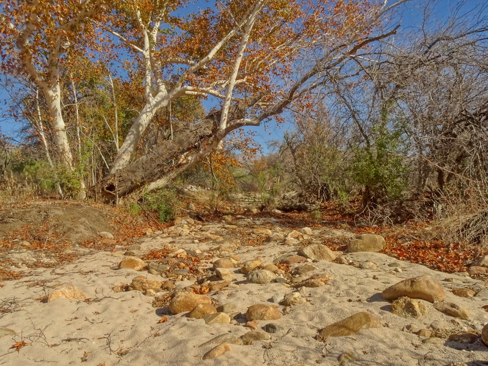 вообще-то, река..