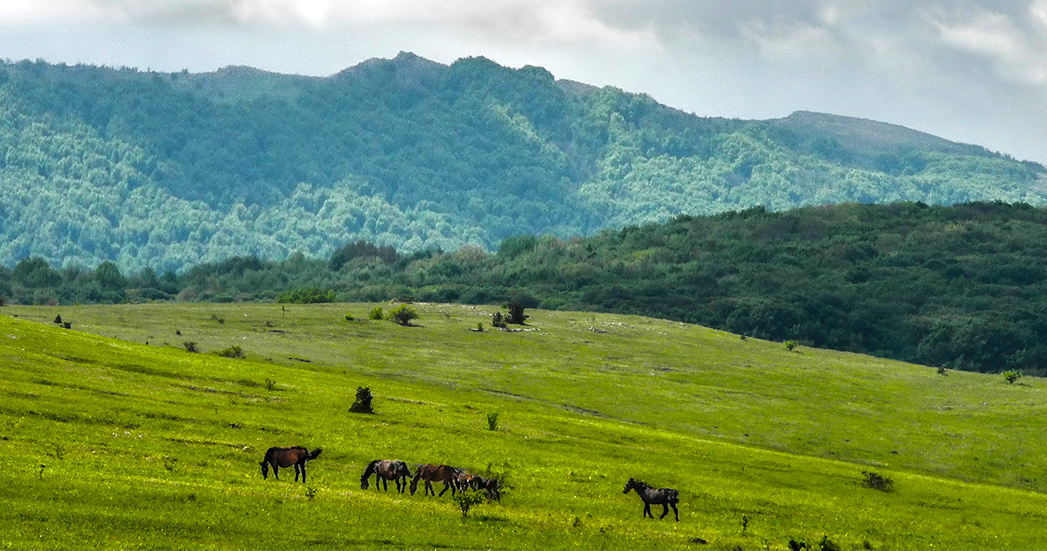 Пейзажная панорама