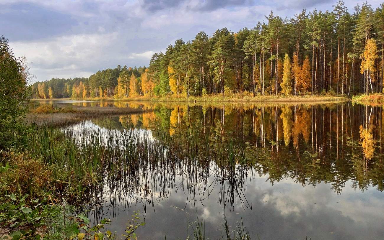 Ох, как прелестна эта гладь
