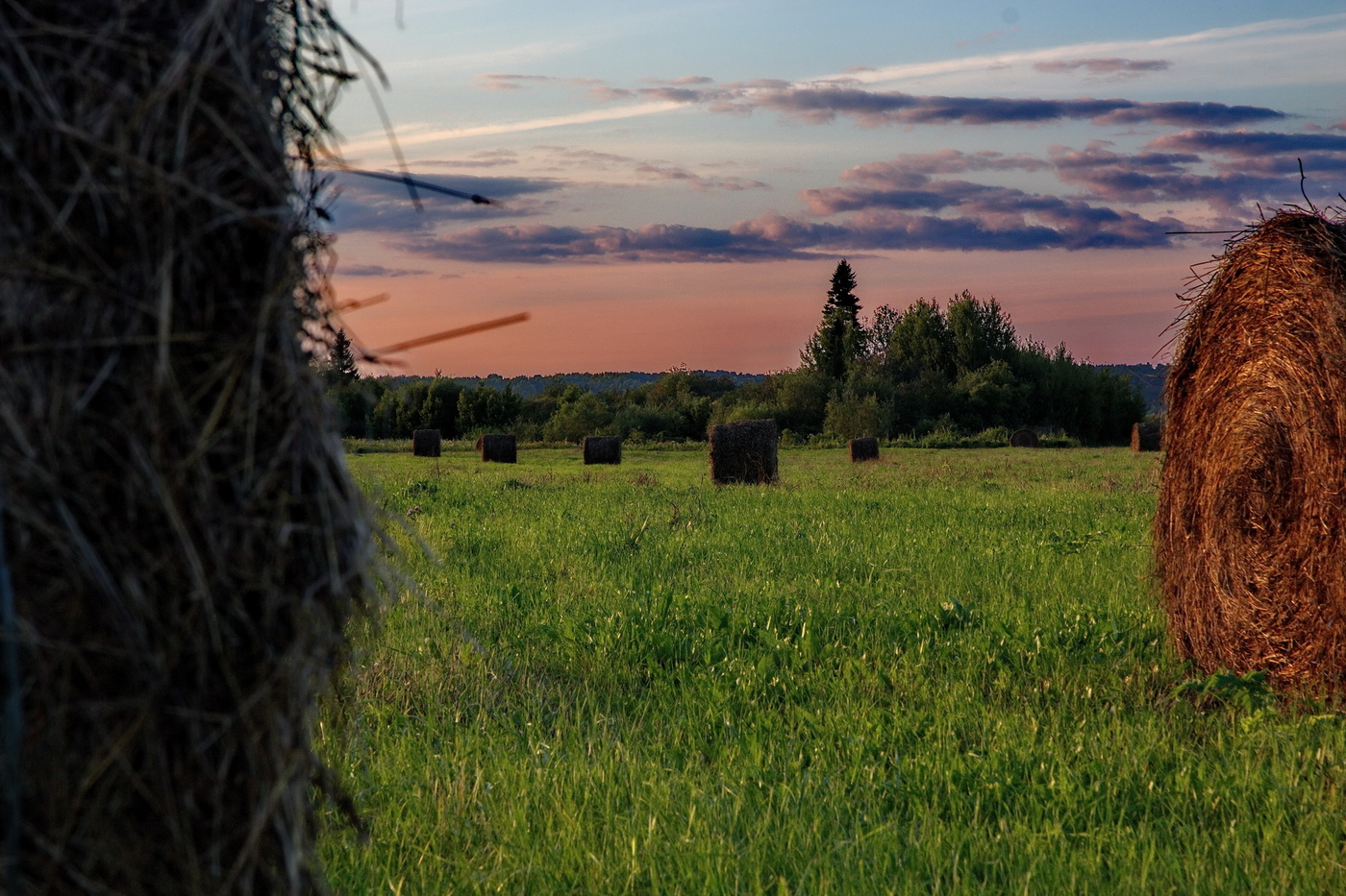Вечерний луг.