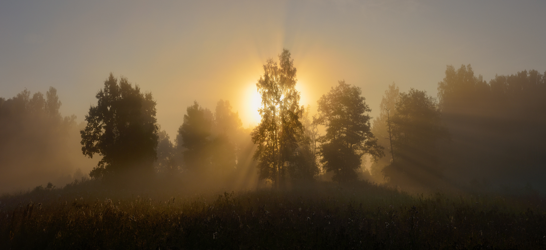 Рассветало утро солнцем золотым