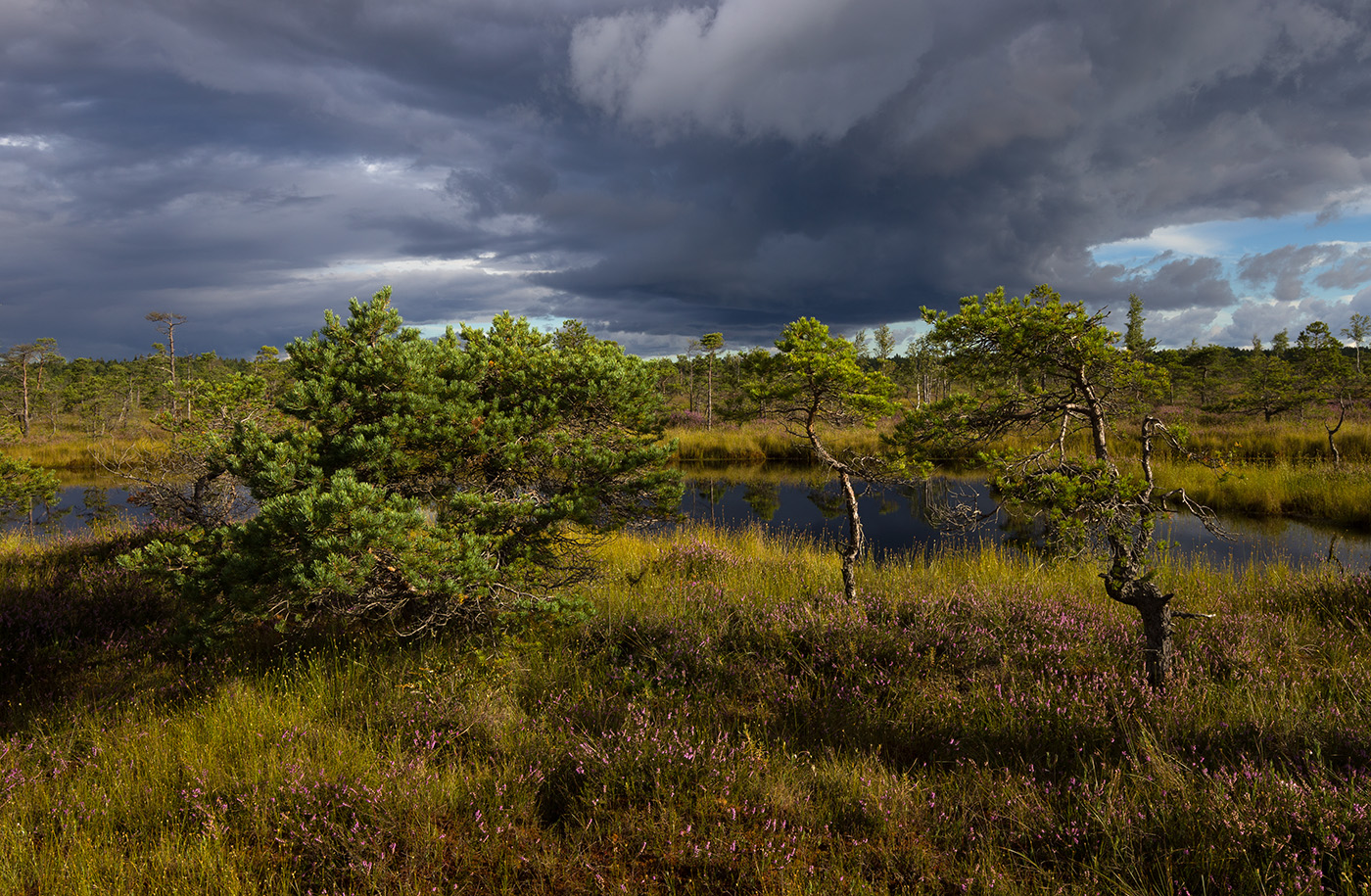 Дыхание осени
