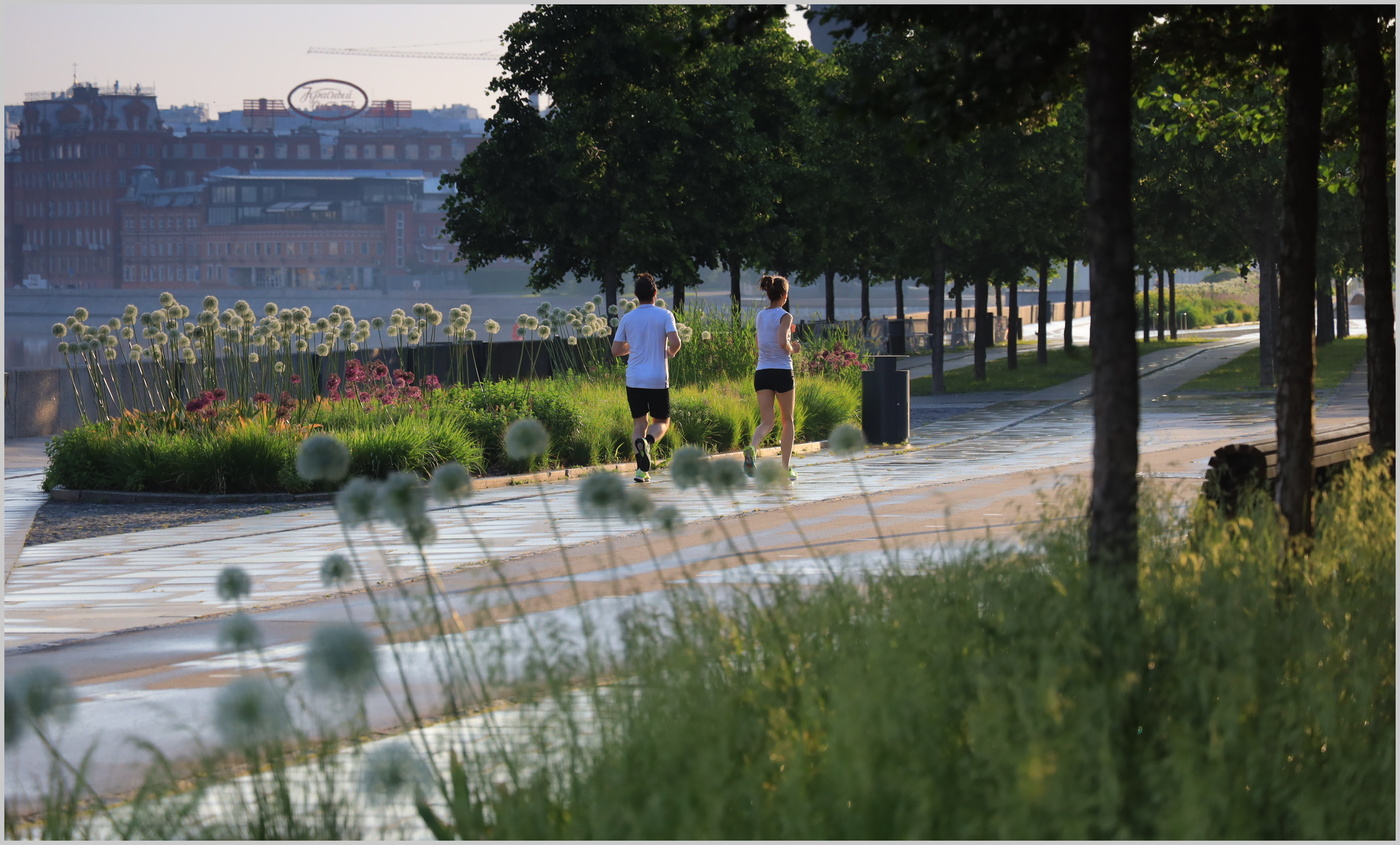 Утренняя пробежка