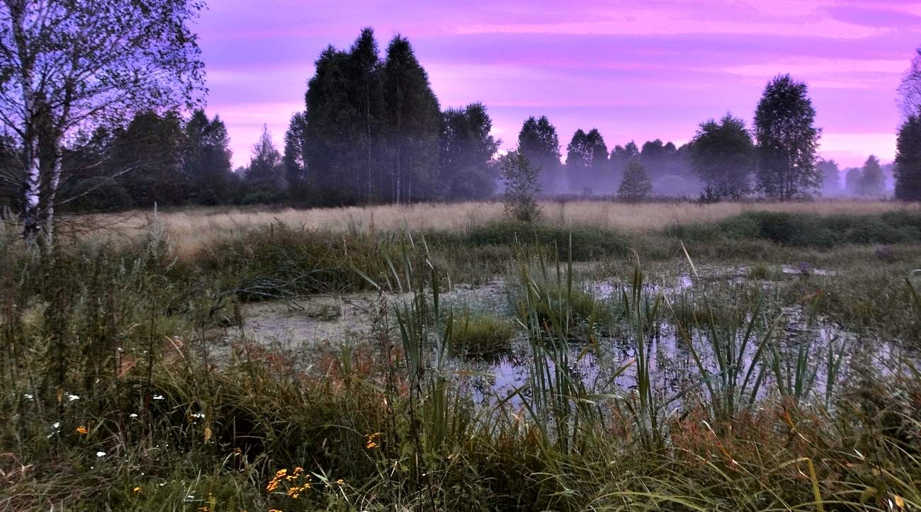 Перламутром окрасилось небо