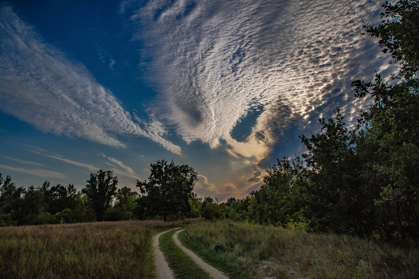 Осенний вечер снизошел на землю...