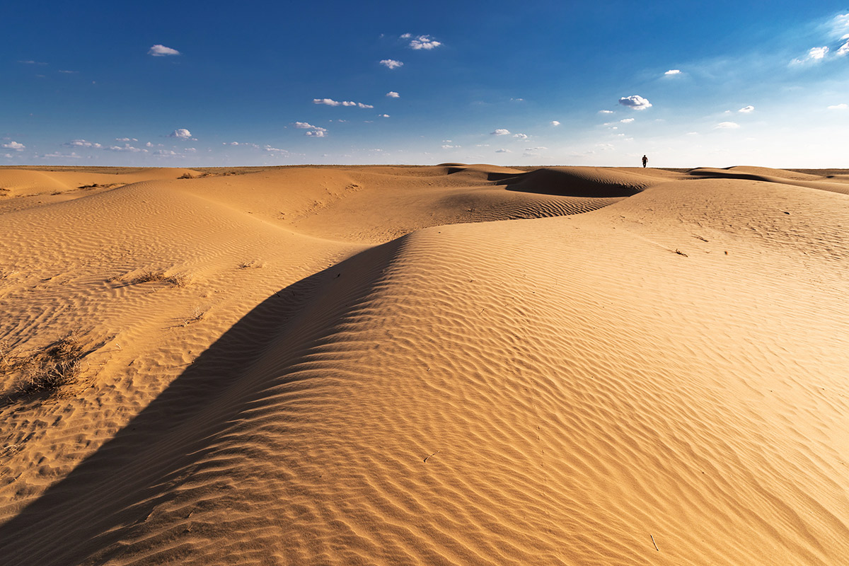 Жаркие пейзажи Калмыкии