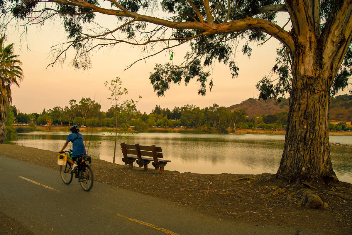 Вечерний моцион