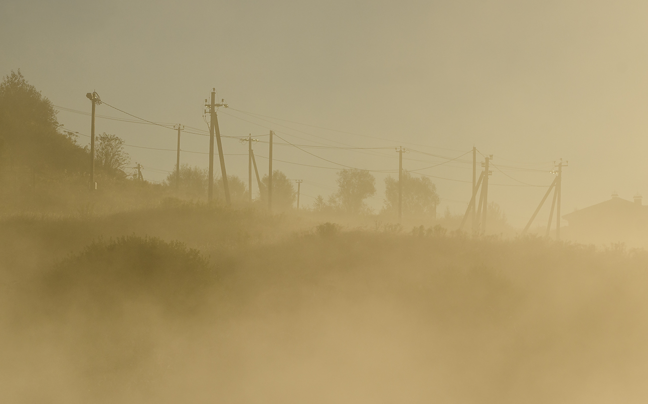 Столпотворение в Архангельском