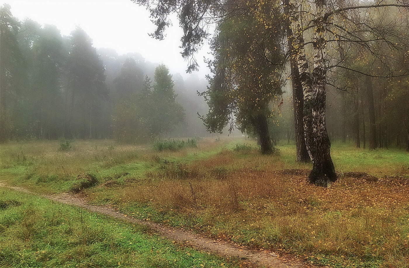 утро сентября