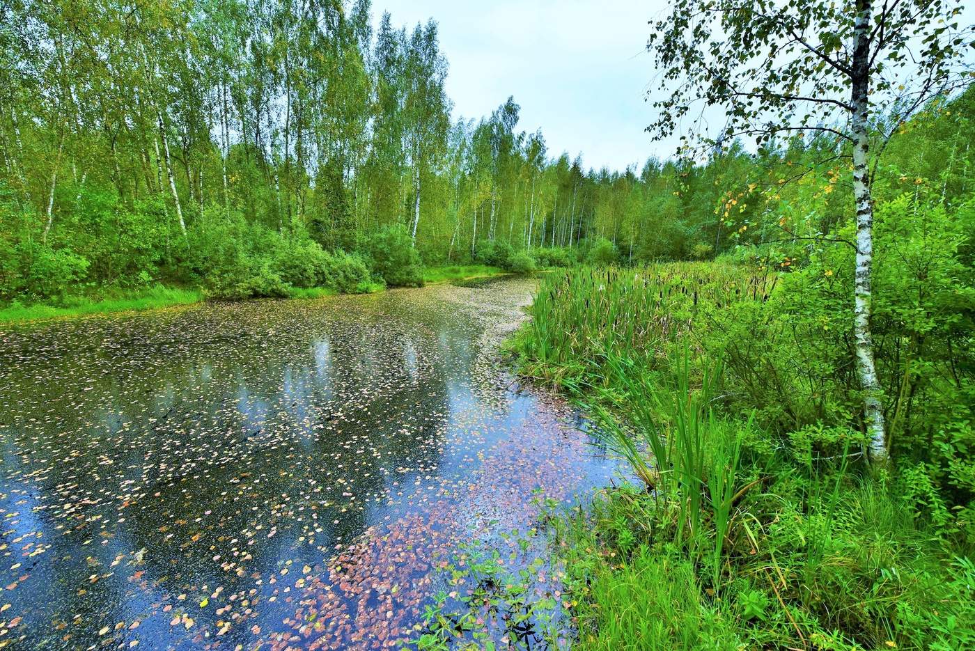 "Во вторник начался сентябрь ..."