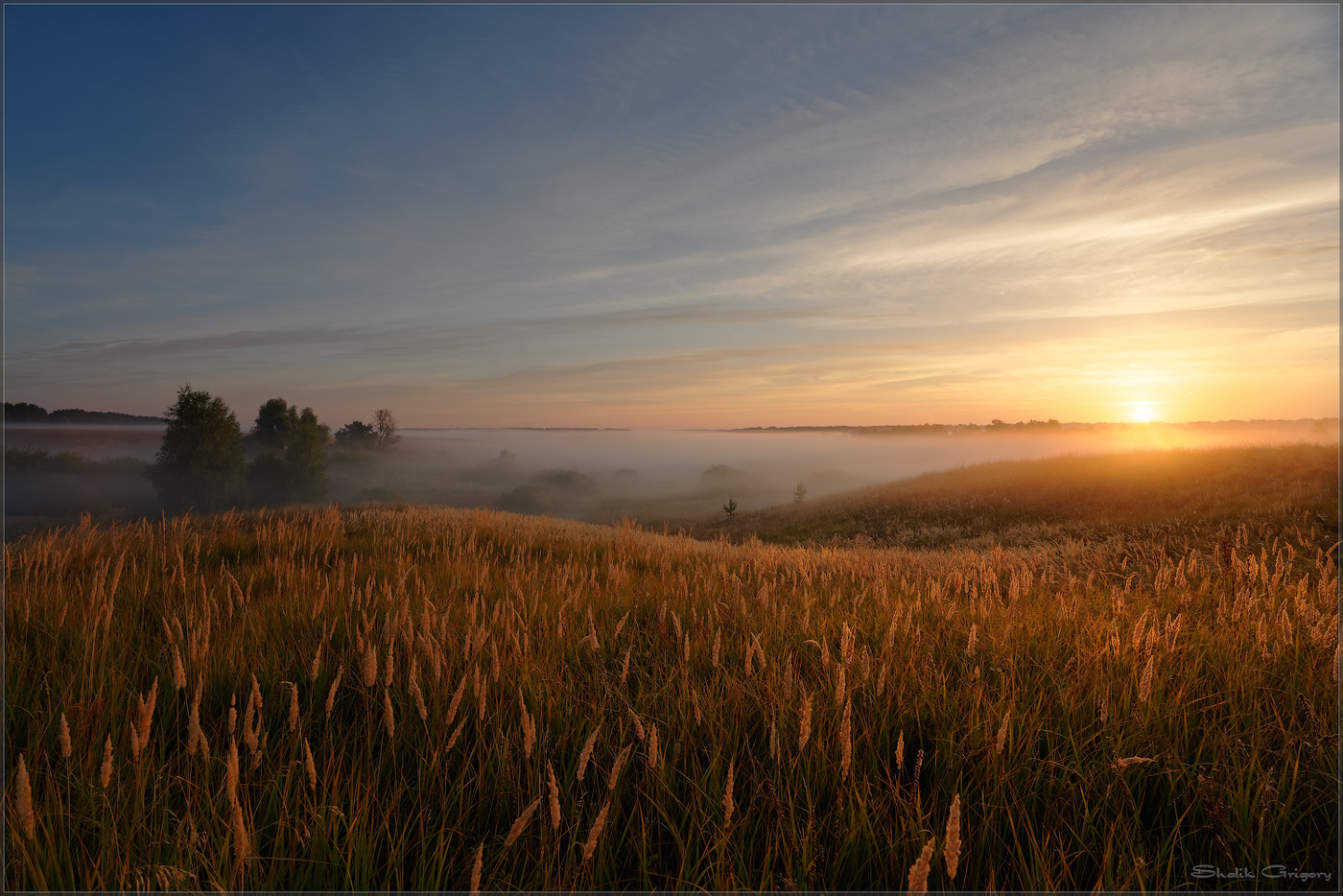 Золотое утро