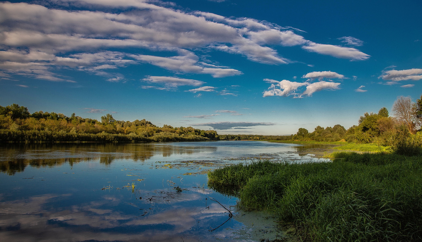 В дальний путь собирается Лето...