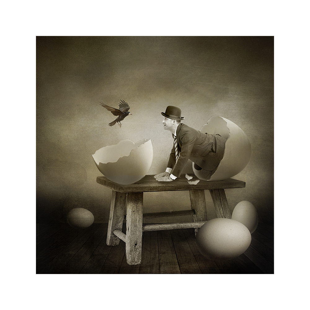 "гадкий утёнок"