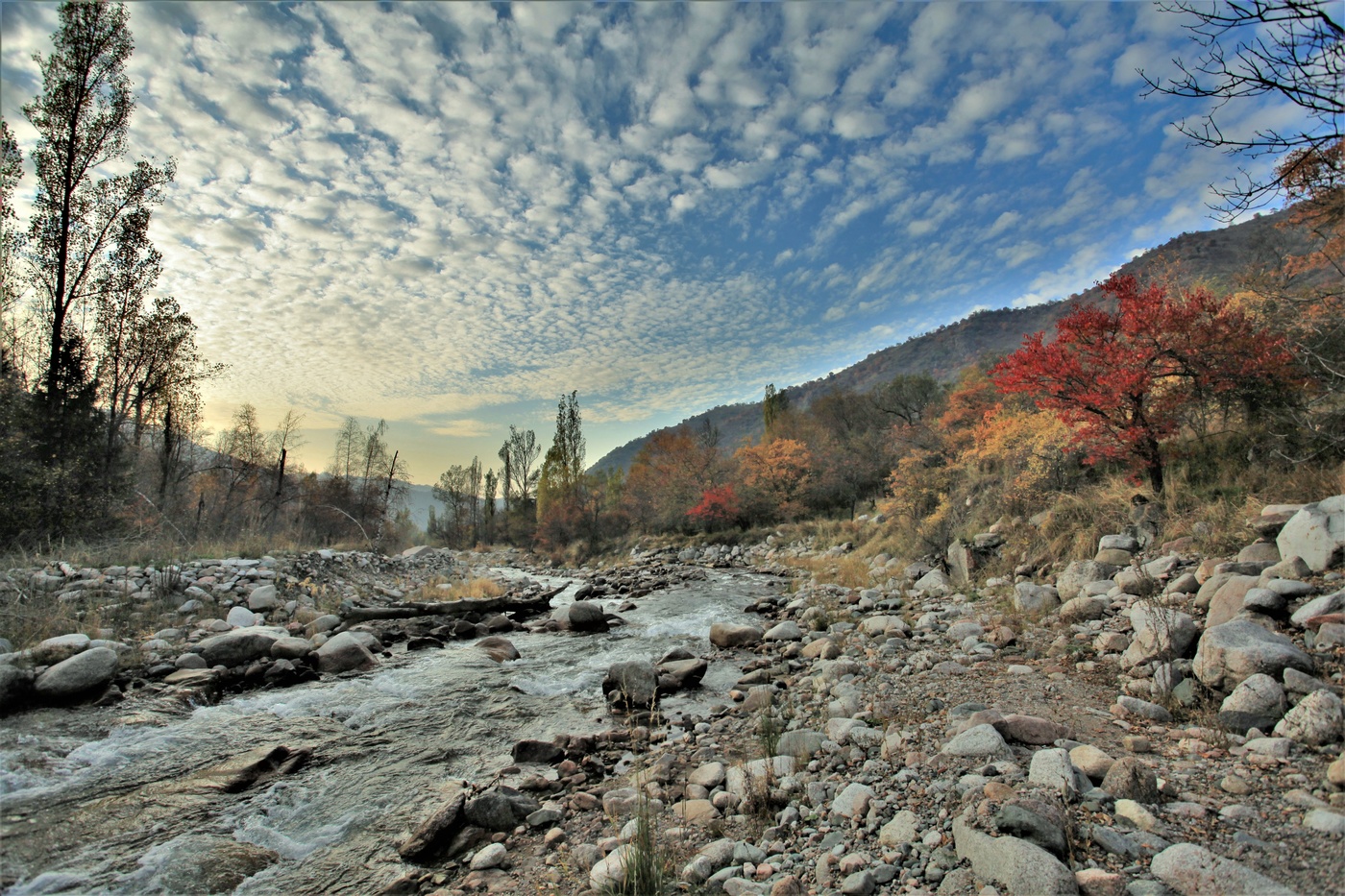 Осенний вечер