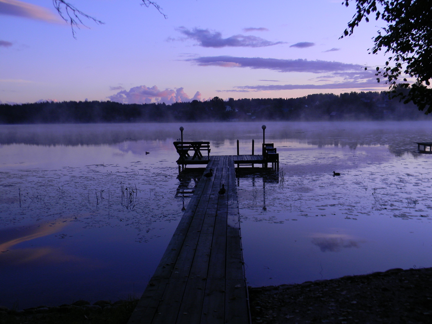 Утренний туман.