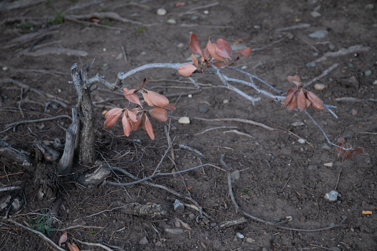 Просто красиво...