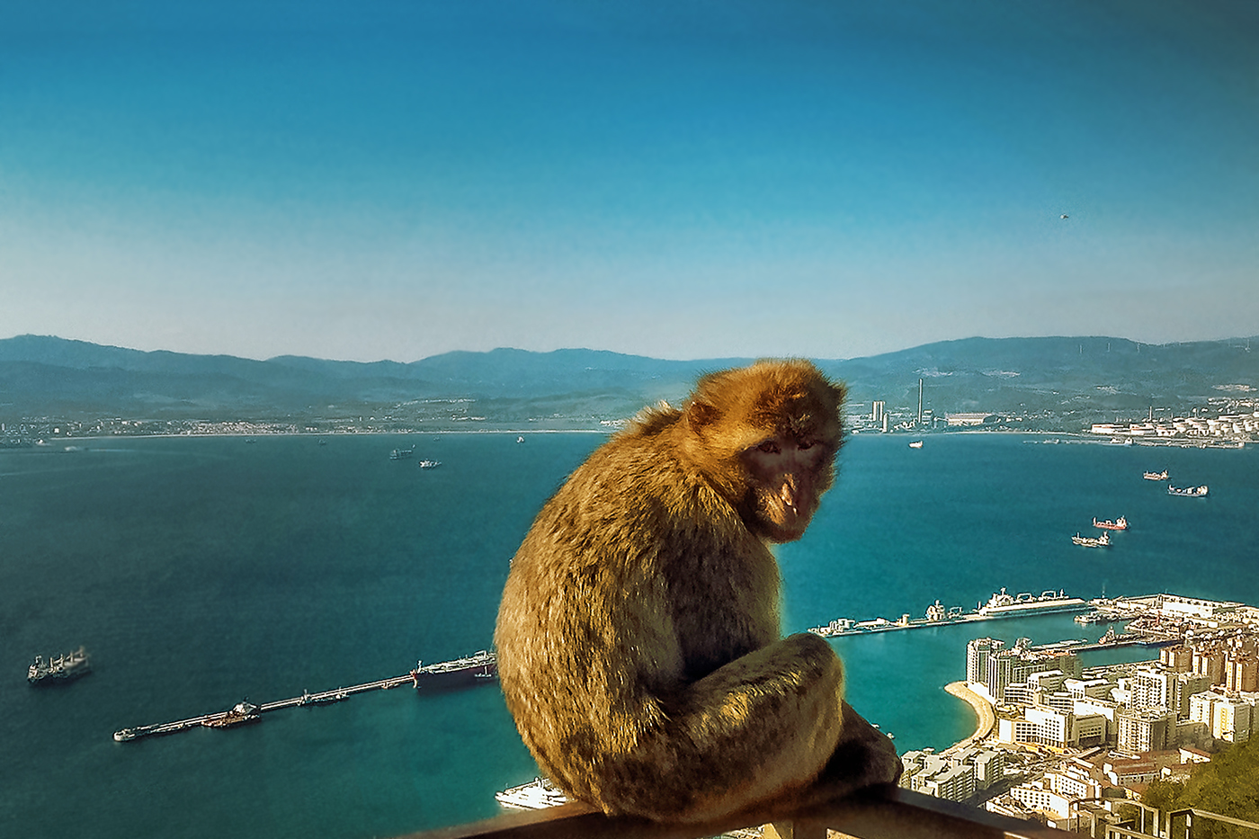 Хозяин Гибралтара