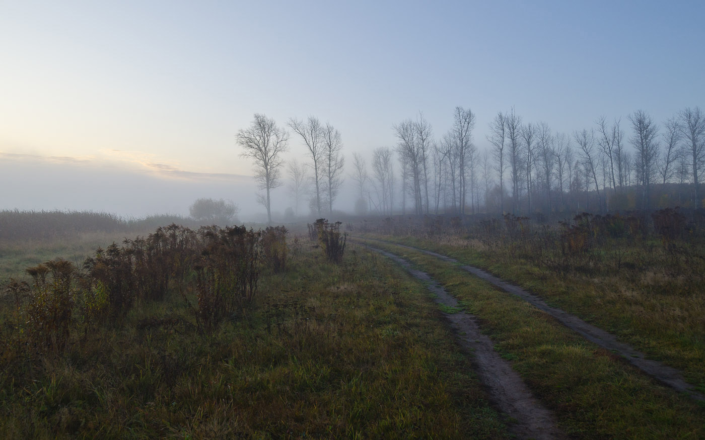 Дорога к тополиной посадке. Осень