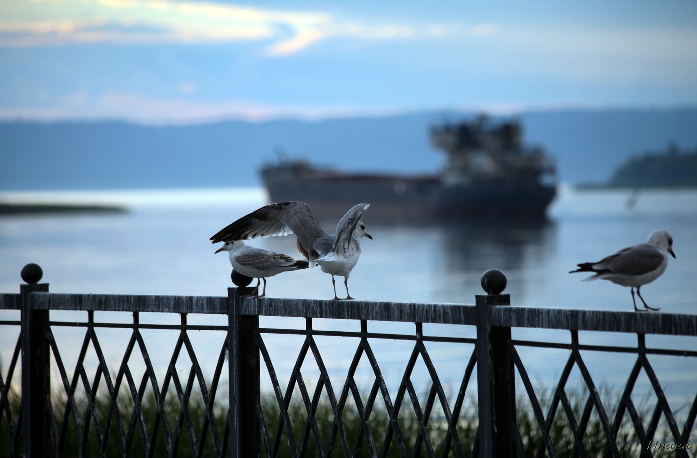 вечерело....