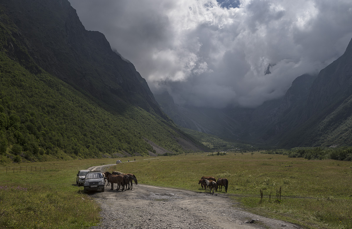 Дневной дозор