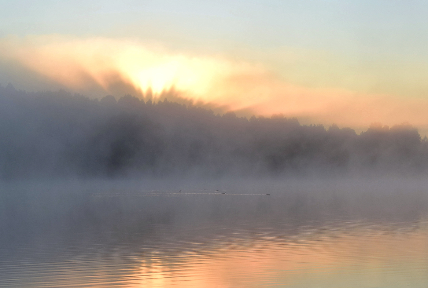 Сколько чудес за туманами кроется...