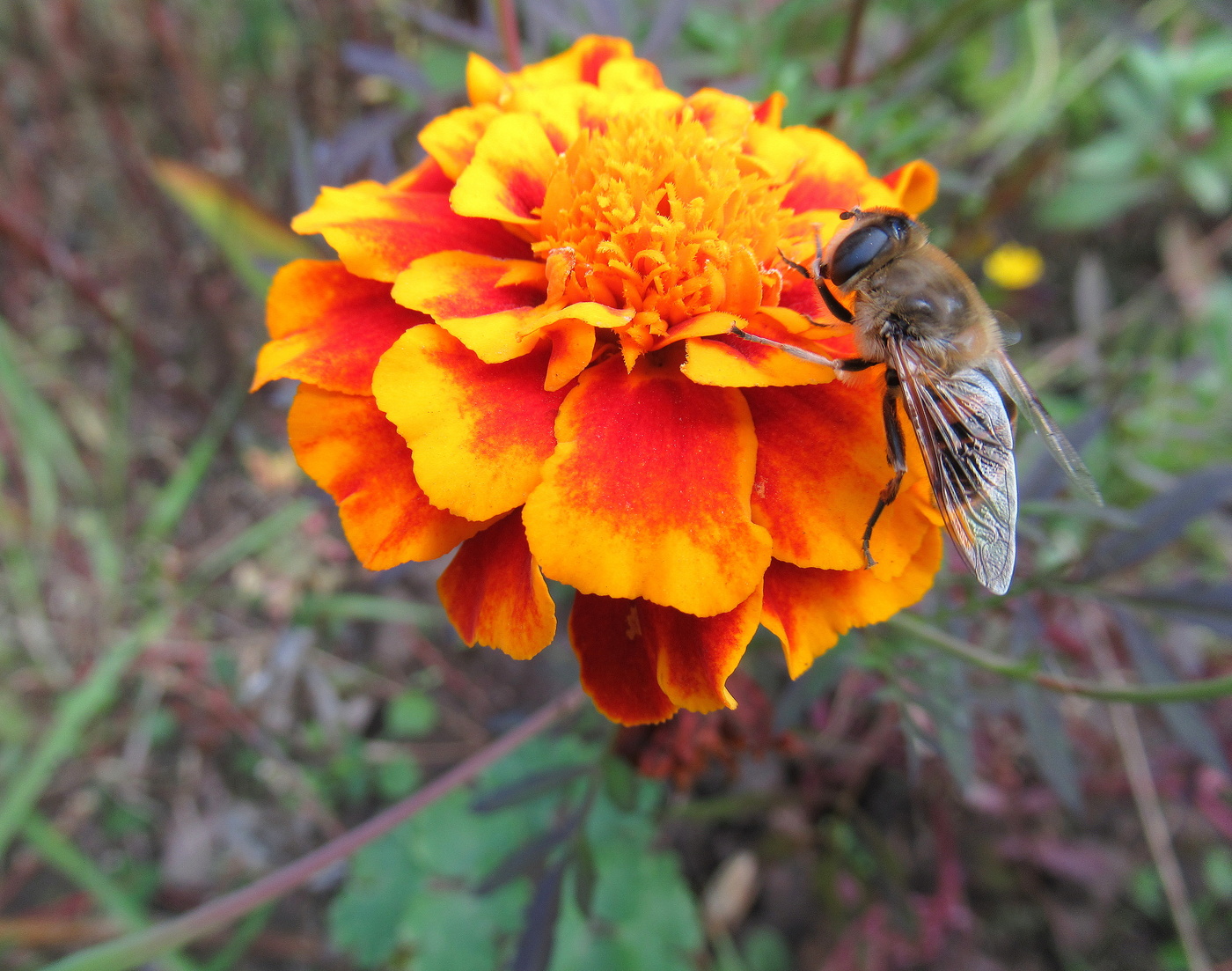 Запахло осенью слегка