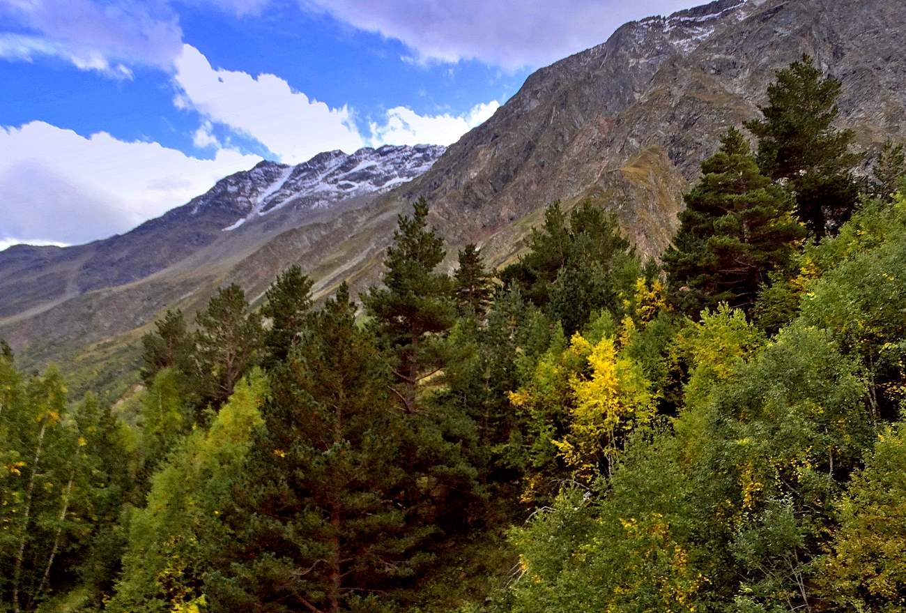 Запахло осенью слегка