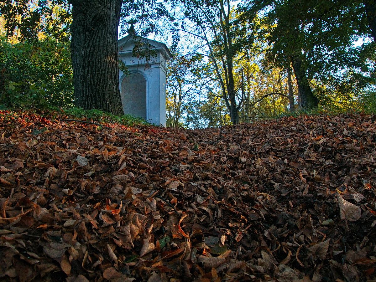 Запахло осенью слегка