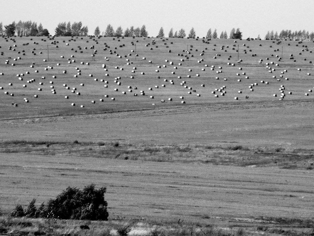 Запахло осенью слегка