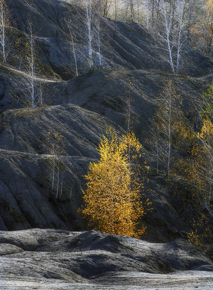 Запахло осенью слегка.