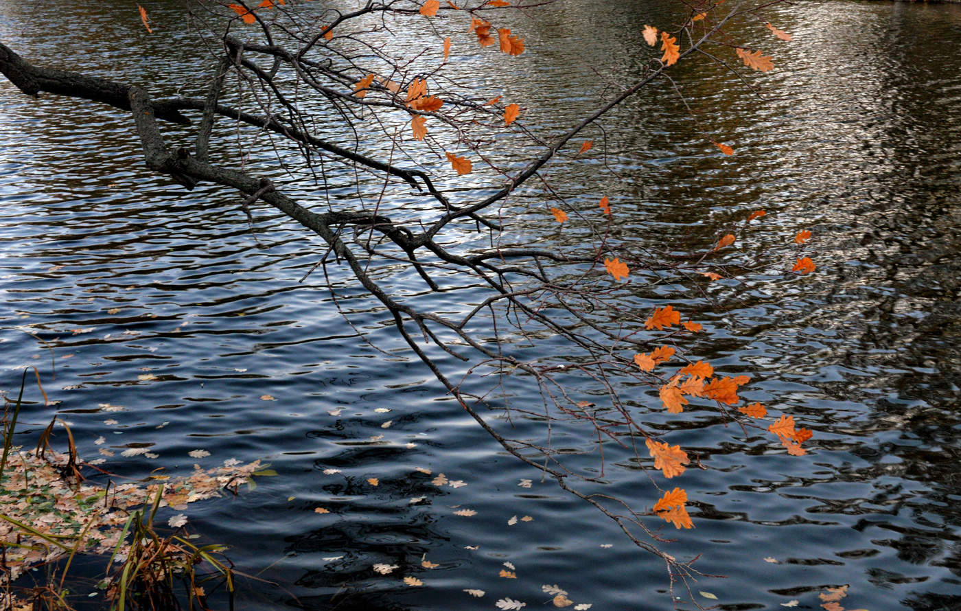 Запахло осенью слегка