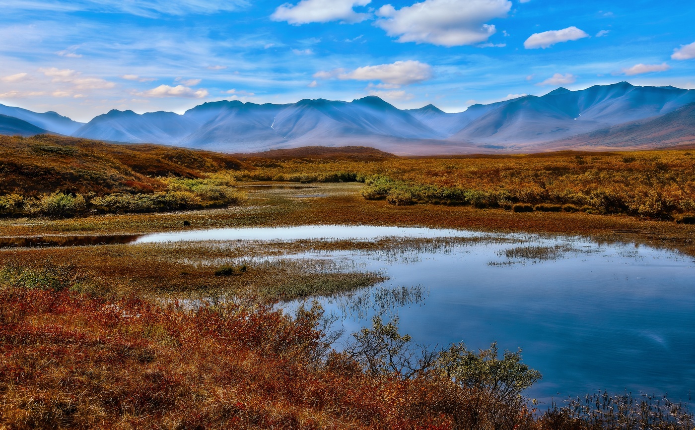 Запахло осенью слегка