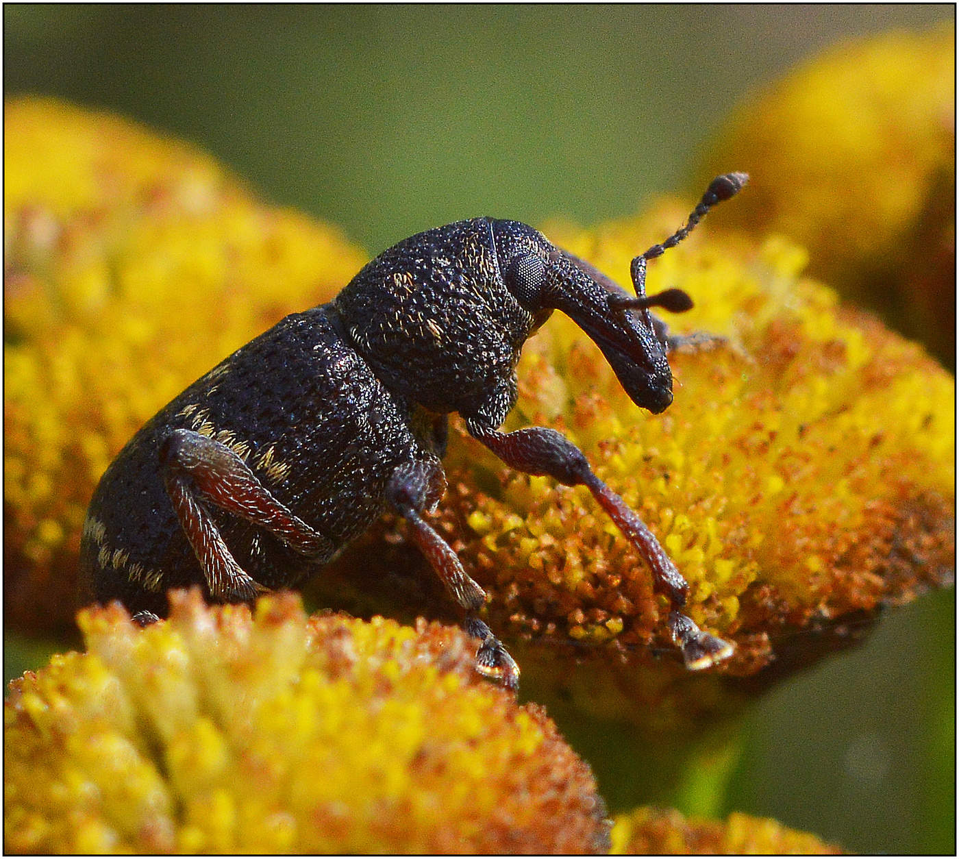 Уходящий август.