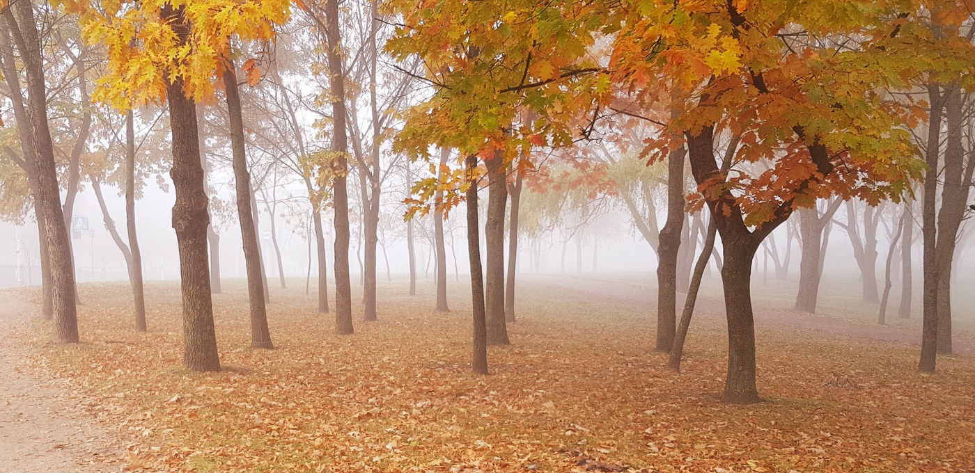 Запахло осенью слегка...