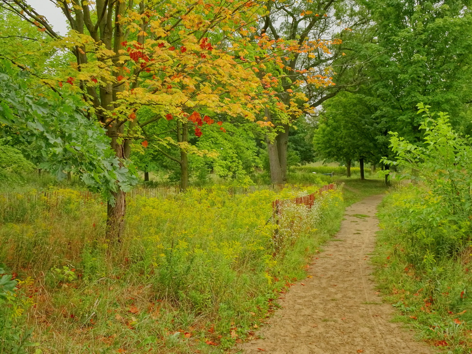 Запахло осенью слегка