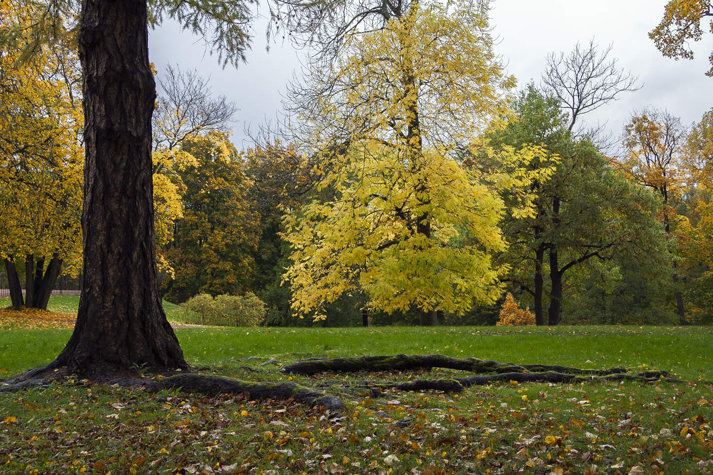 Запахло осенью слегка