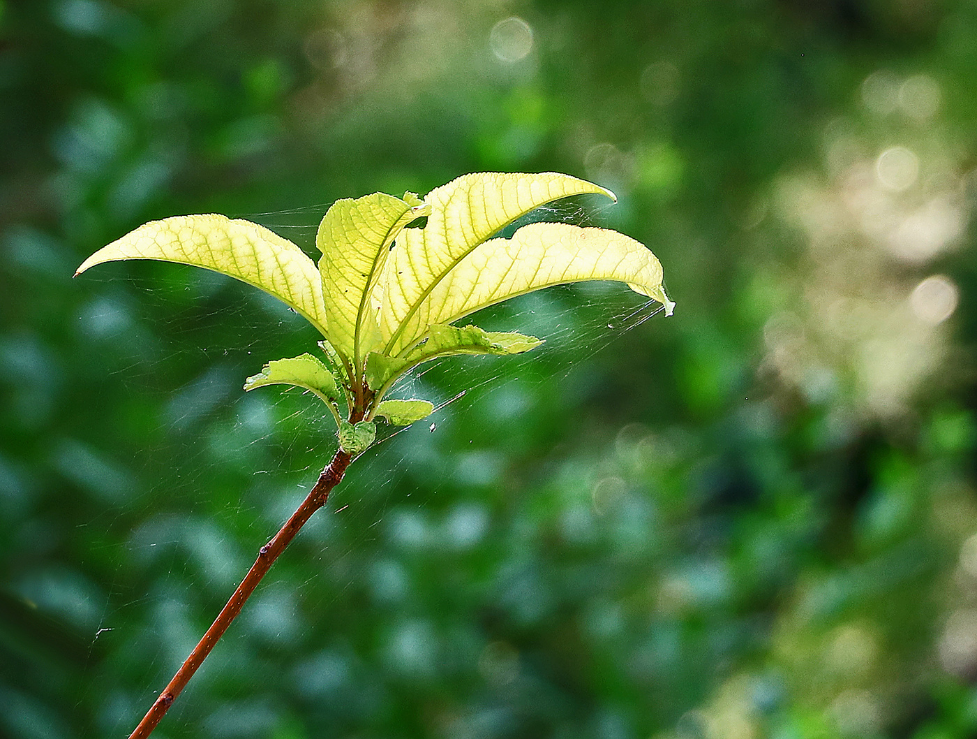 Запахло осенью слегка