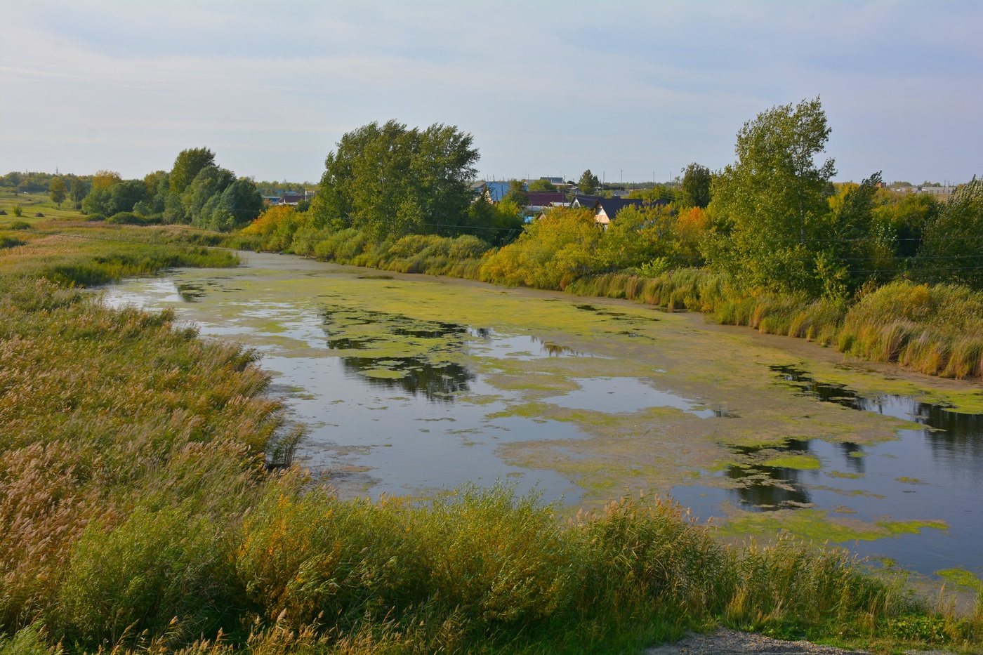 Запахло осенью слегка.