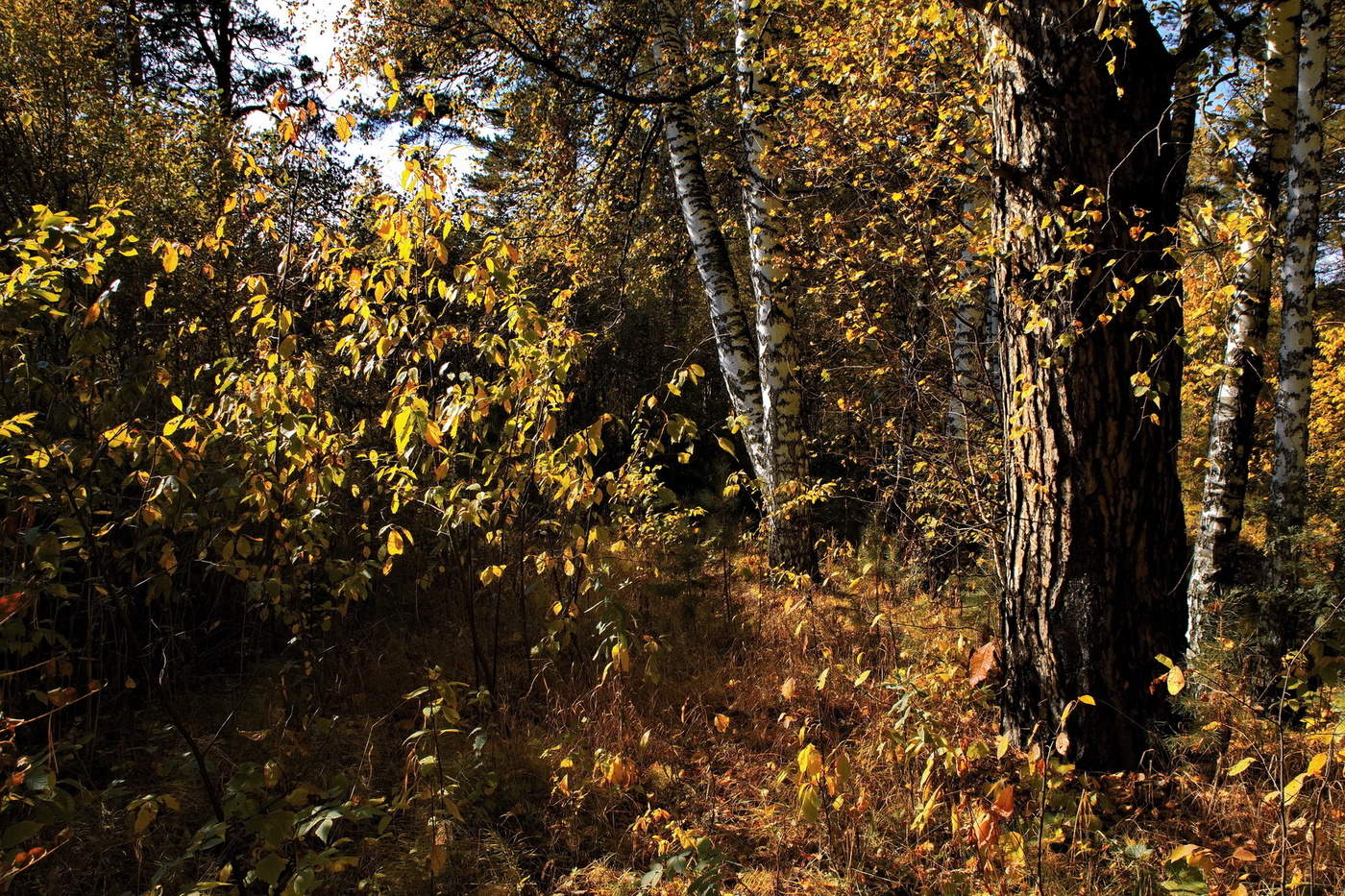 Запахло осенью слегка