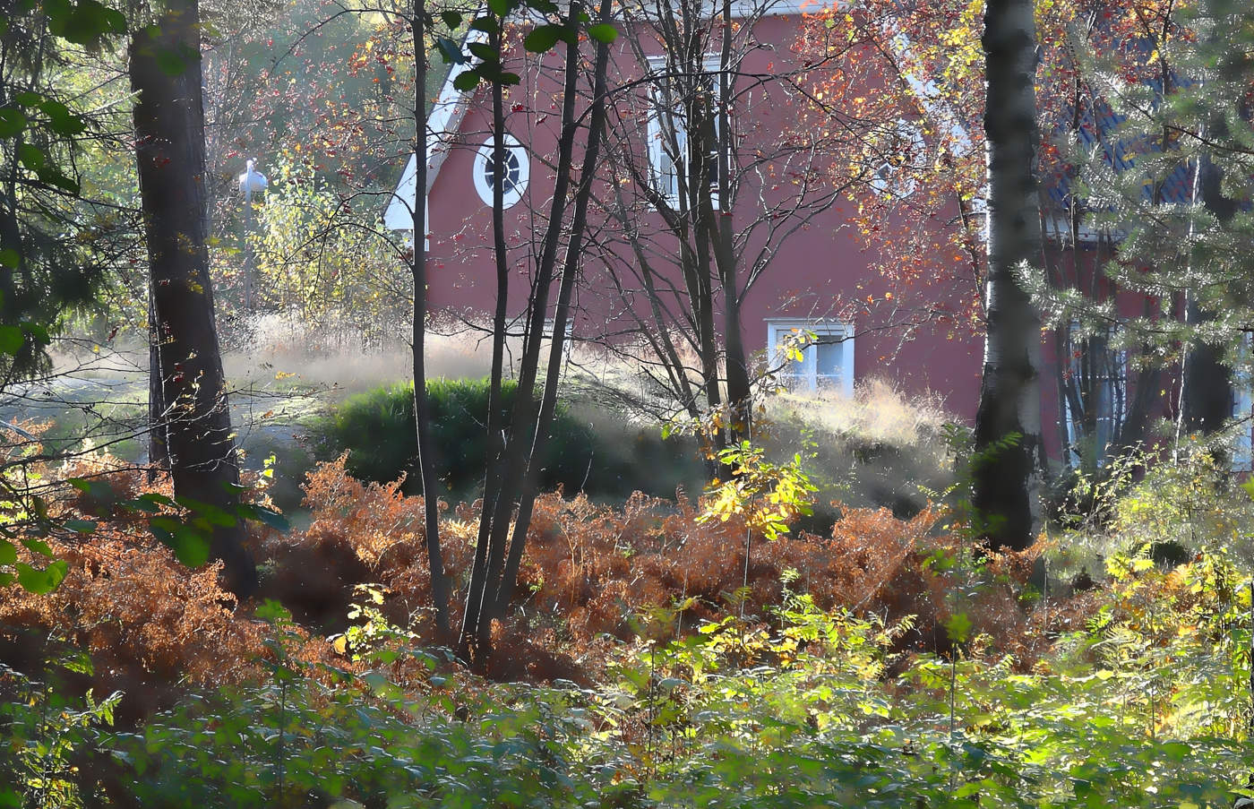 Запахло осенью слегка