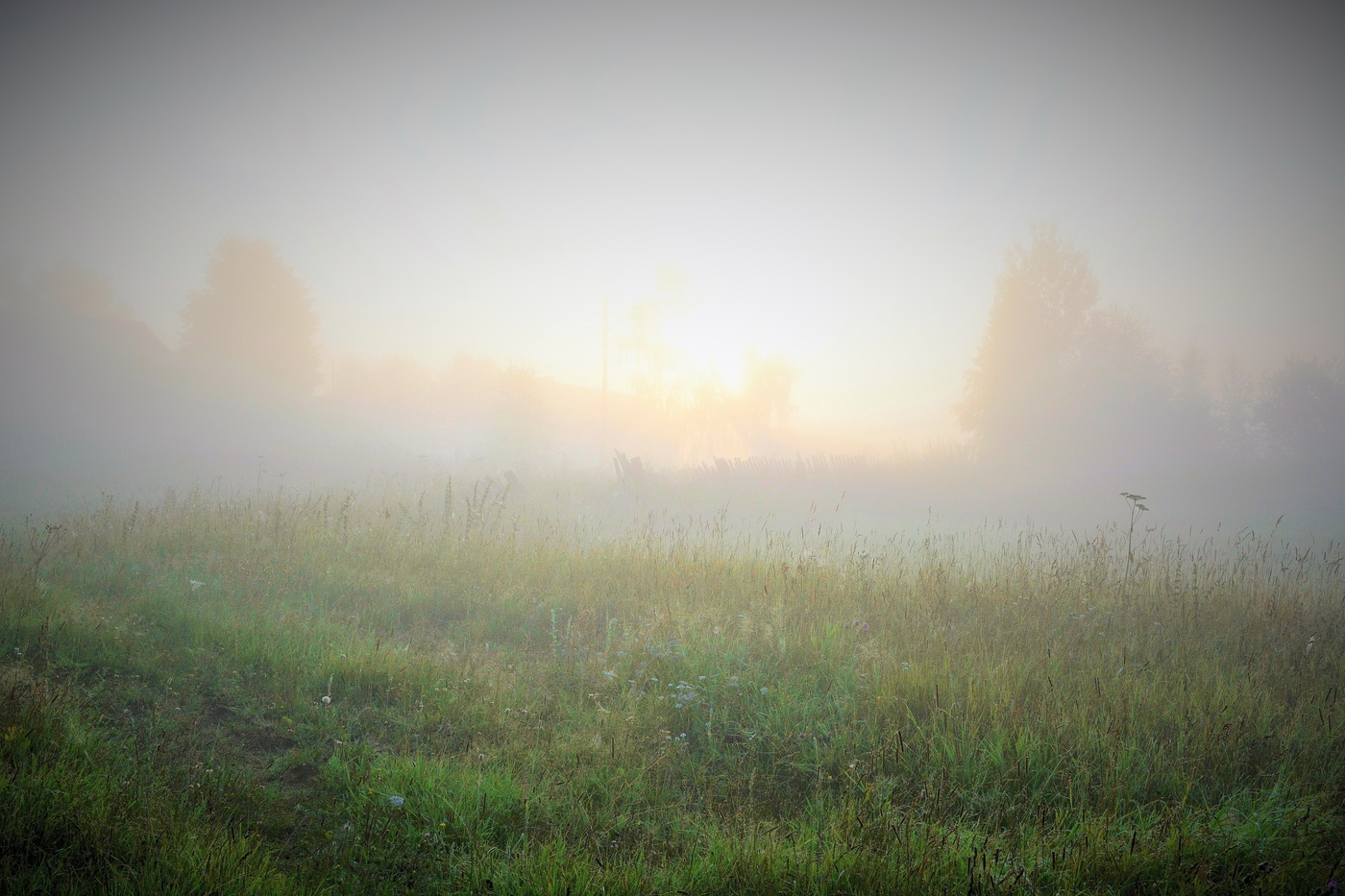 "Мне нравится, что утро не спешит менять картины..."