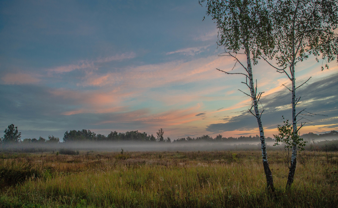 Вдыхая розовый рассвет...