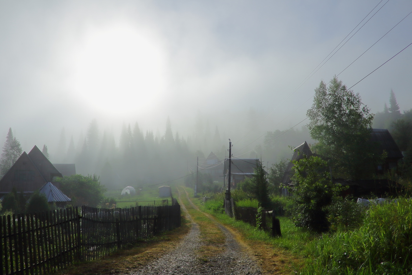 Туманный рассвет